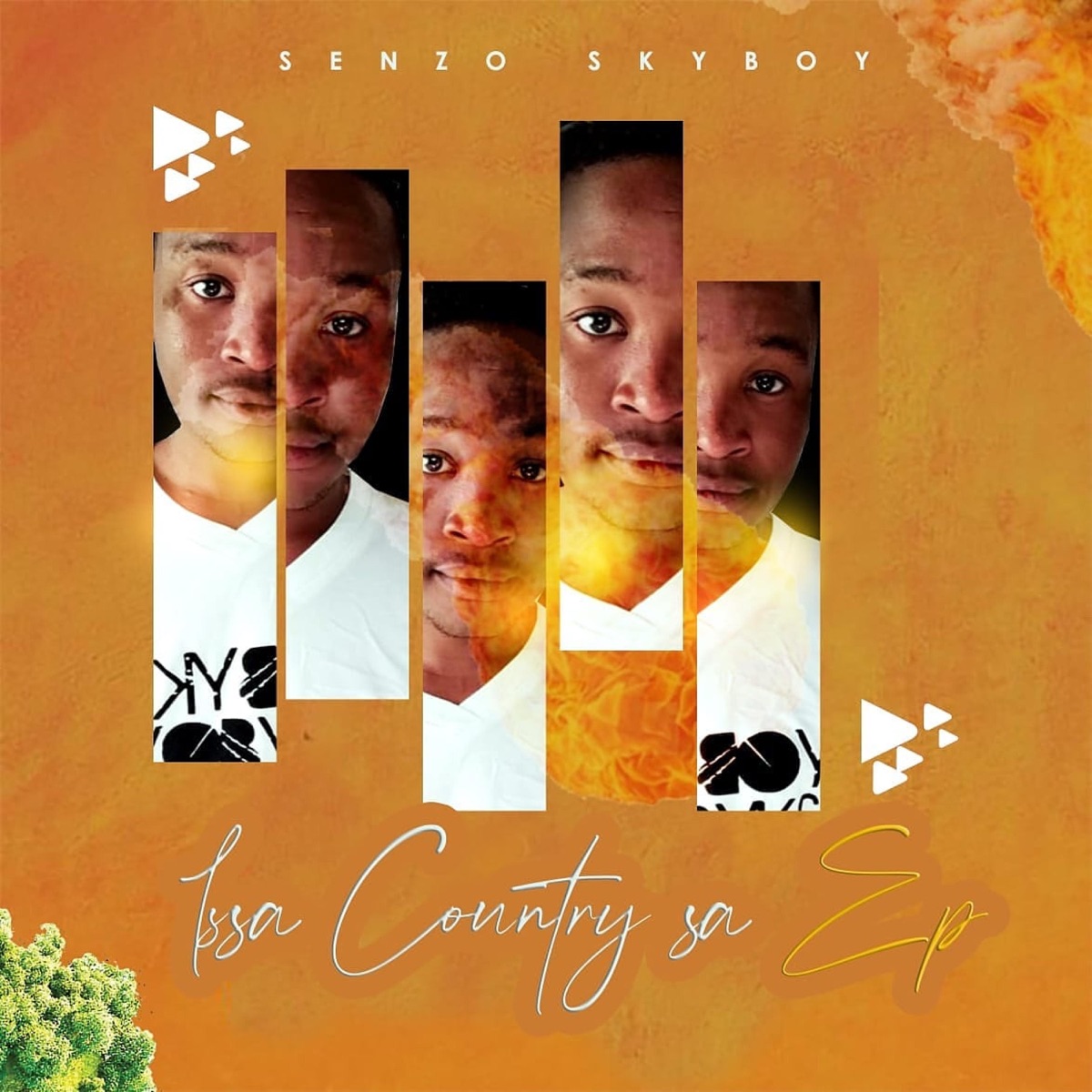 Issa Country SA Ep by Senzo SkyBoy album cover