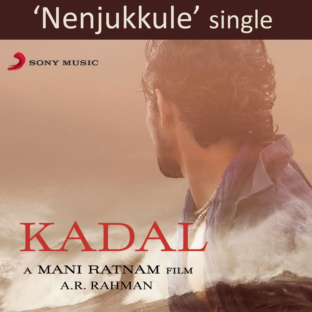 Nenjukkule (feat. Shakthisree Gopalan) [From "Kadal"] - Single by A.R. Rahman album cover