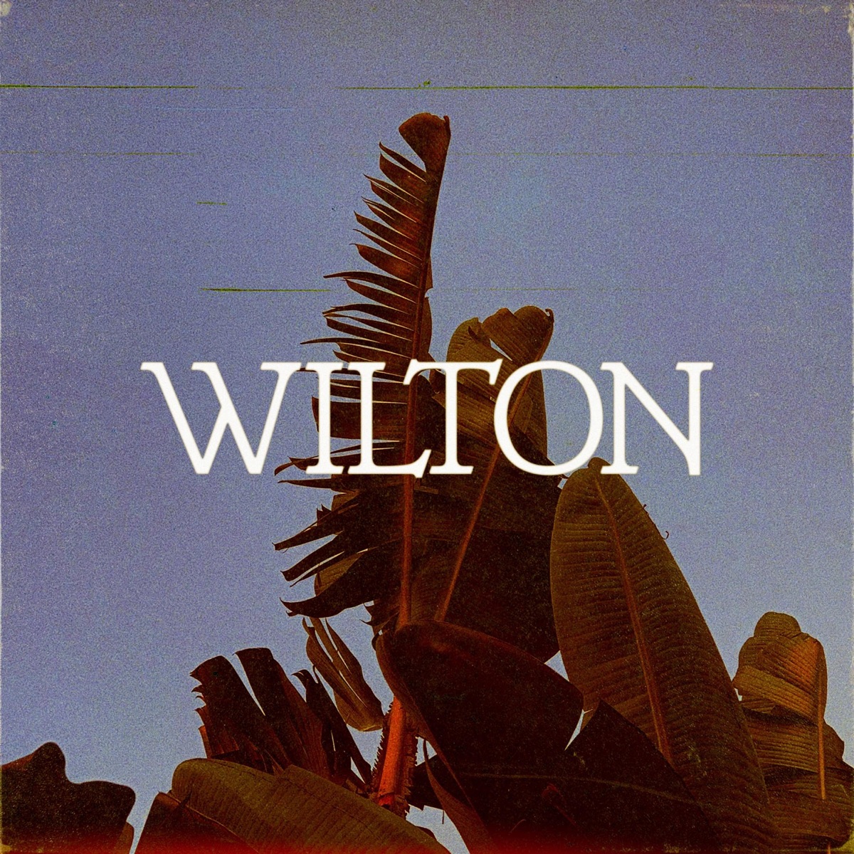 Wilton - EP by Jack Dine & Alex Isley album cover