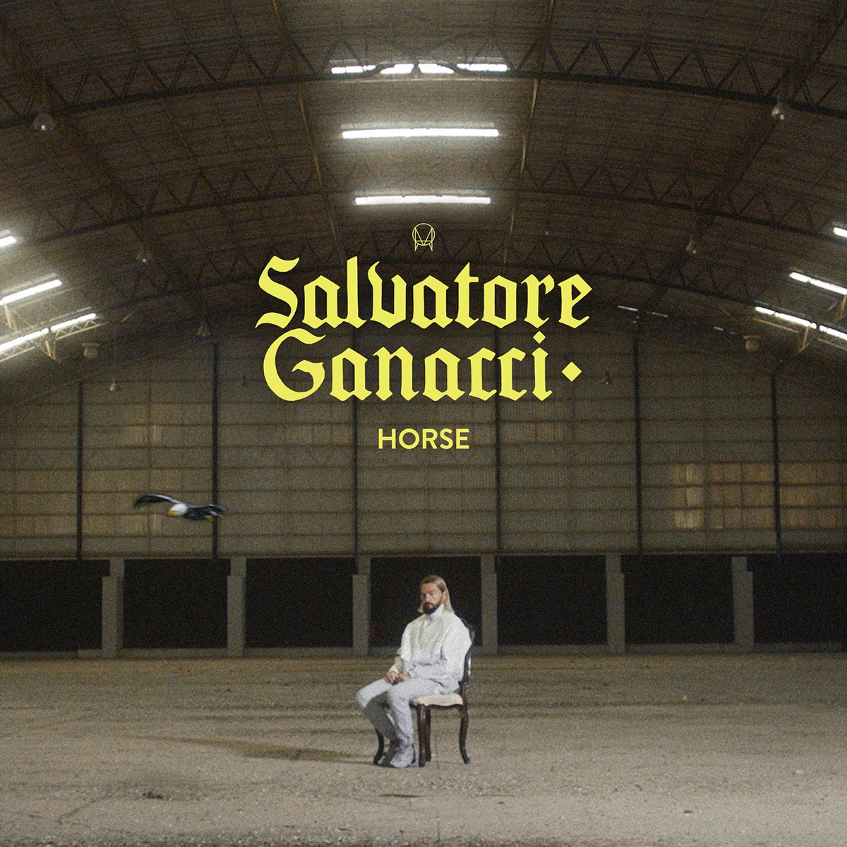 Horse - Single by Salvatore Ganacci album cover