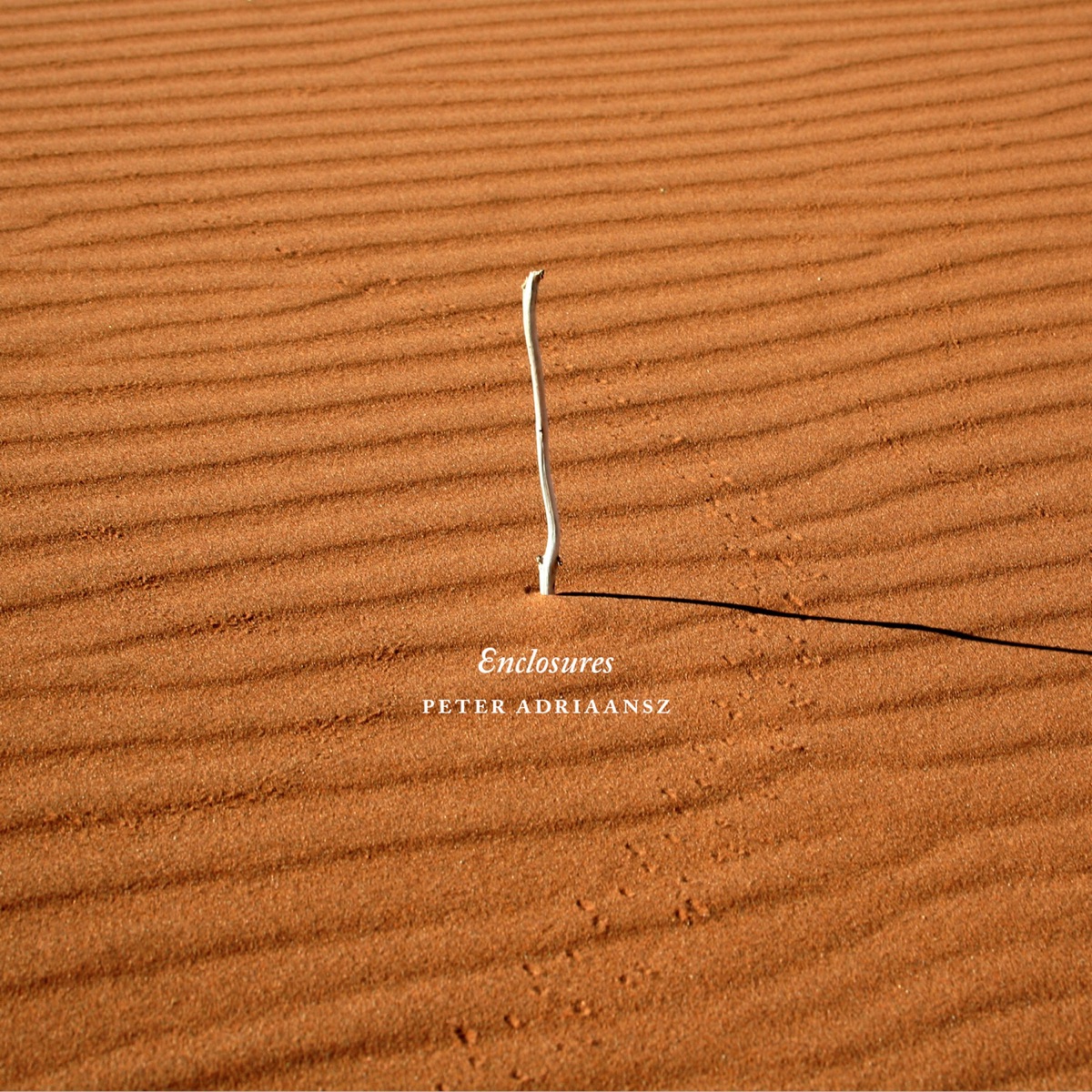 Enclosures by Saskia Lankhoorn, Ensemble Klang & Trio Scordatura album cover