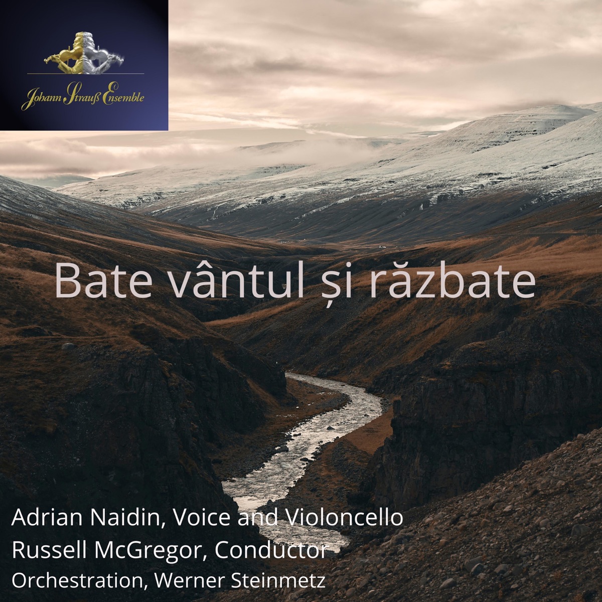 Bate Vantul si Razbate (feat. Adrian Nadine) - Single by Johann Strauss Ensemble album cover