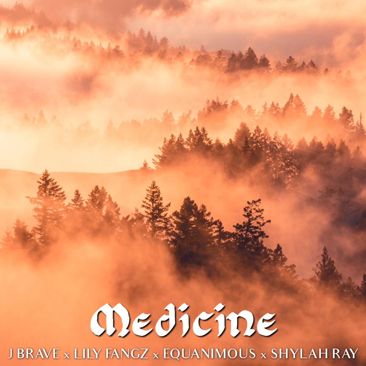 Medicine (feat. Lily Fangz, Shylah Ray Sunshine & Teddy Roxpin) - Single by J Brave & Equanimous album cover