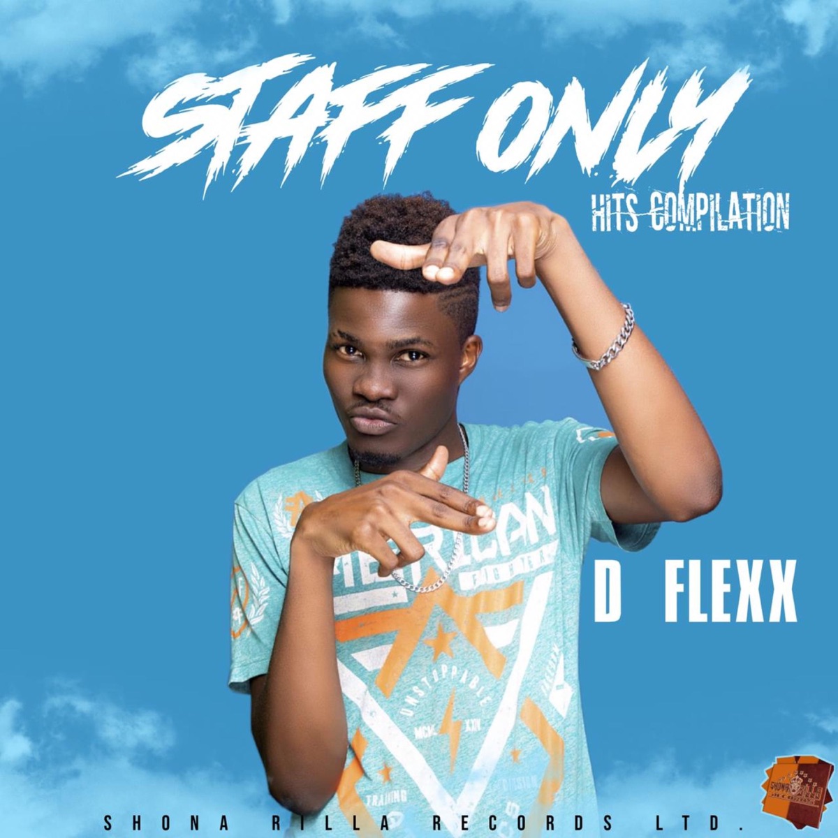 Staff Only Hits Compilation by D Flexx album cover