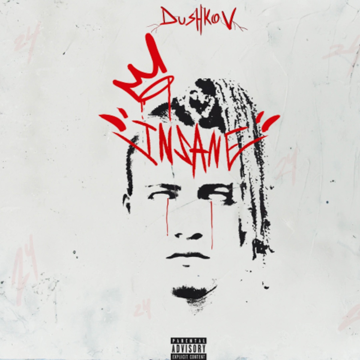 Insane by DushkovTwenty4 album cover