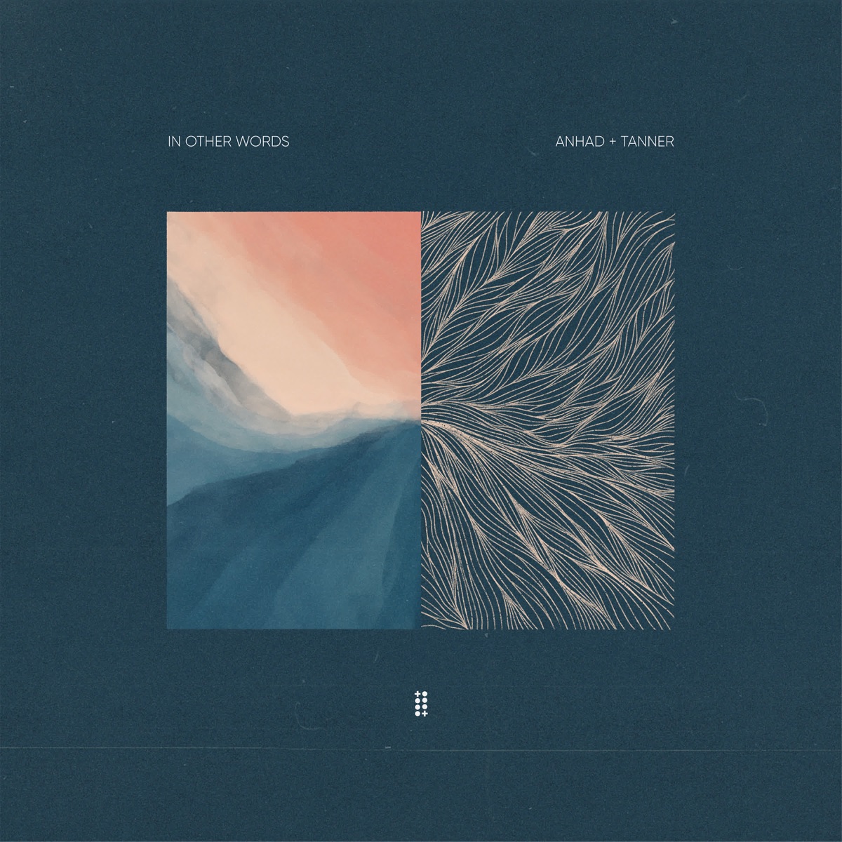 In Other Words by Anhad + Tanner album cover