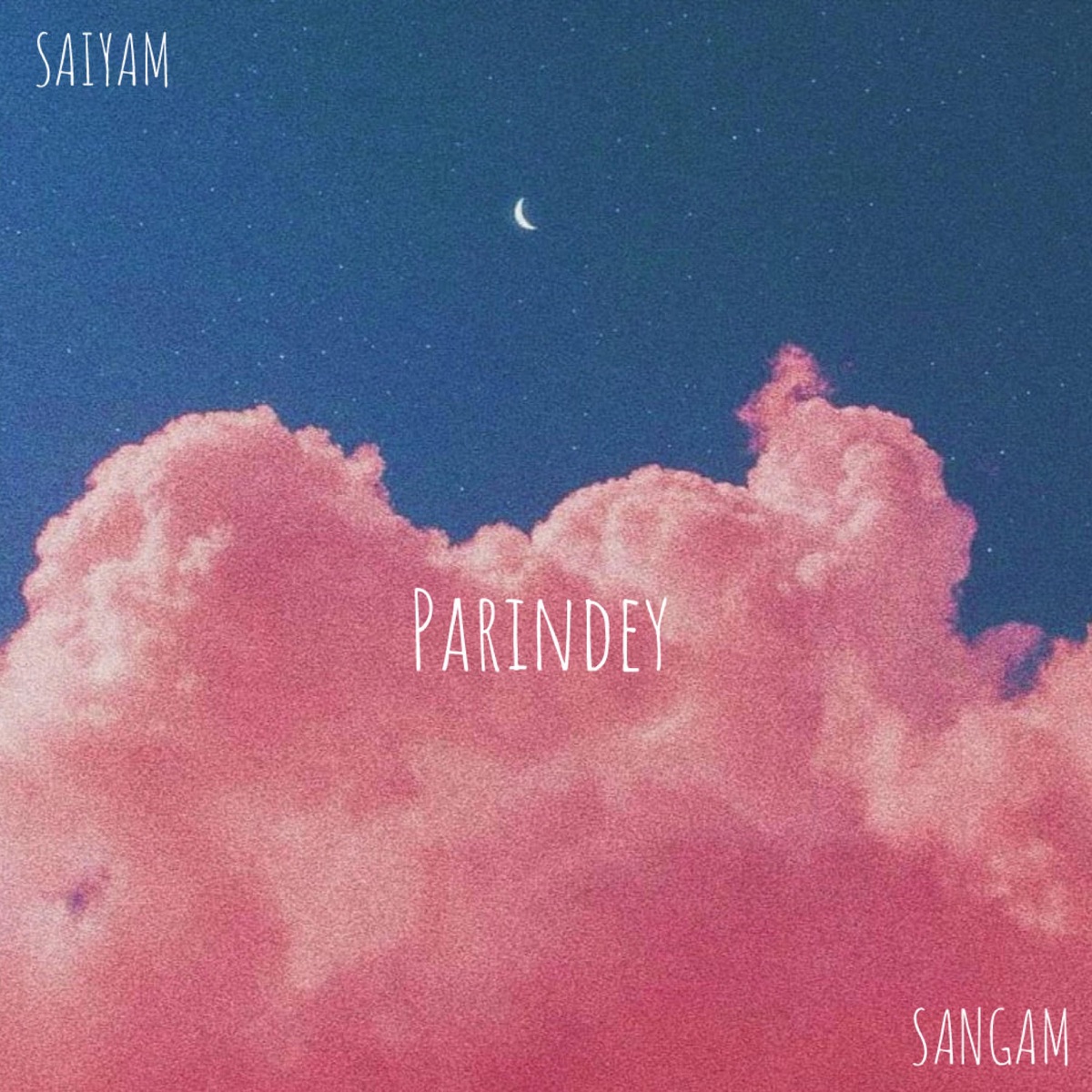 Parindey (feat. Sangam Vigyaanik) - Single by SAIYAM album cover