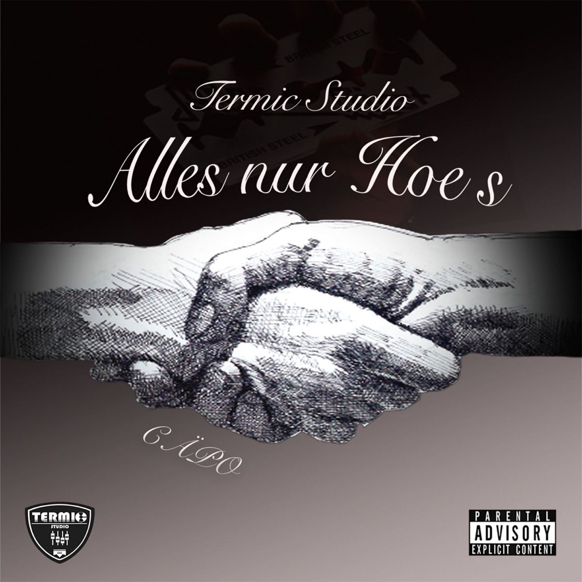 Alles nur Hoes - Single by Cäpo album cover
