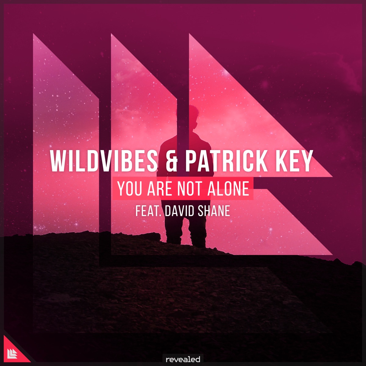 You Are Not Alone - Single by WildVibes, Patrick Key & David Shane album cover