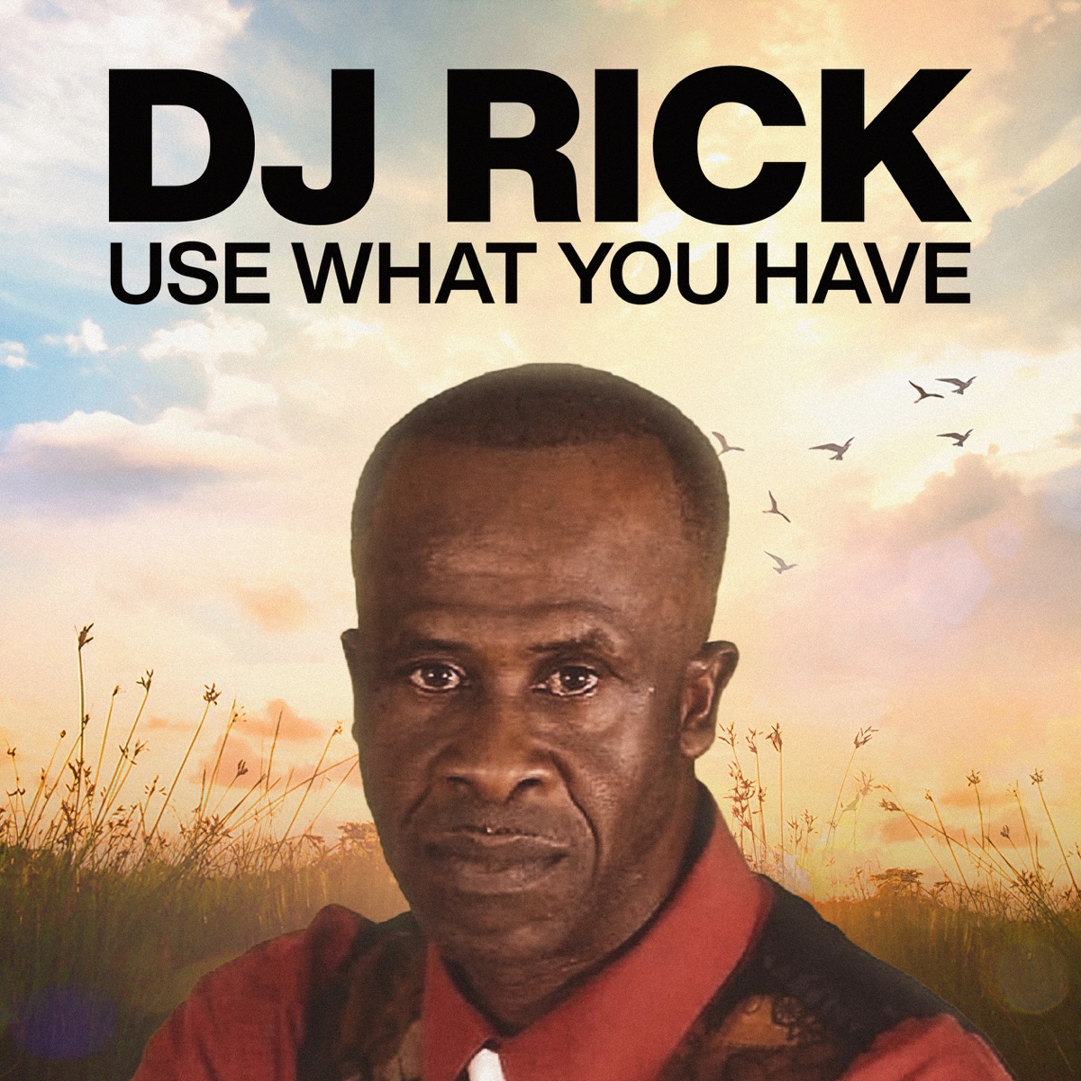 Use What You Have by Dj Rick album cover