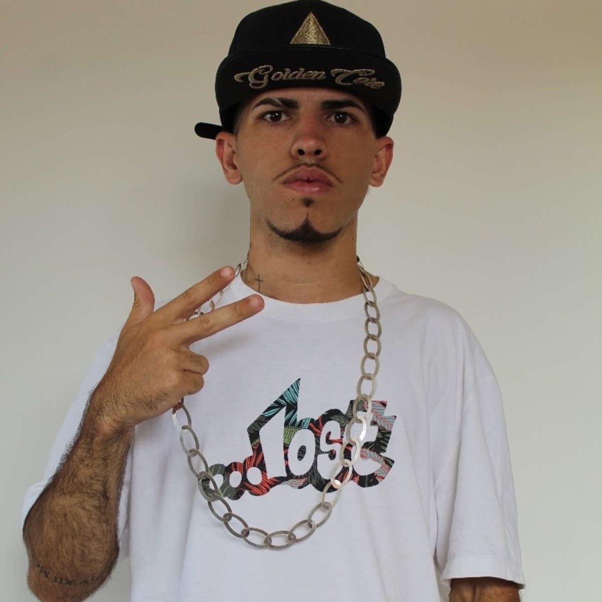 Tu Ta No Baile De Favela (feat. FEAT. MC MAGRINHO, MC TORUGO, MC PR, MC GW e MC LISA) - Single by DJ WL DO V.A album cover