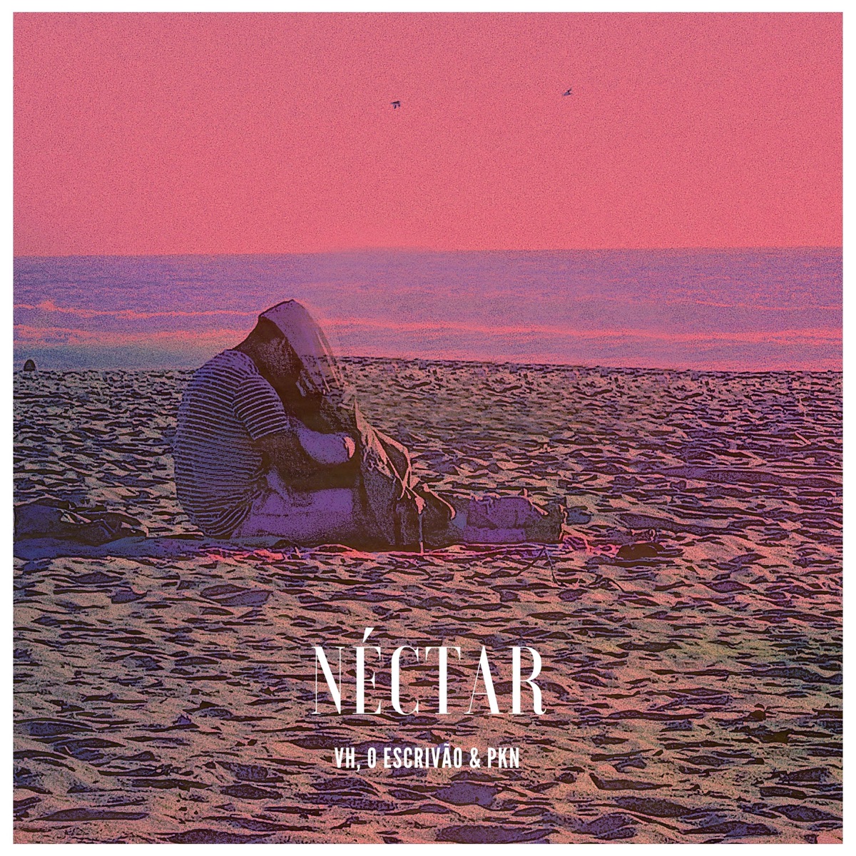 Néctar (feat. PKN) - Single by VH, O Escrivão album cover