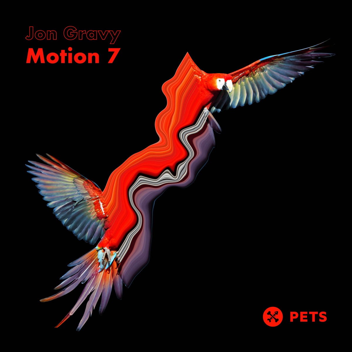 Motion 7 - EP by Jon Gravy album cover