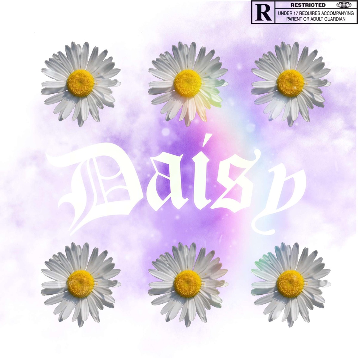 Daisy - Single by DS Tiny album cover