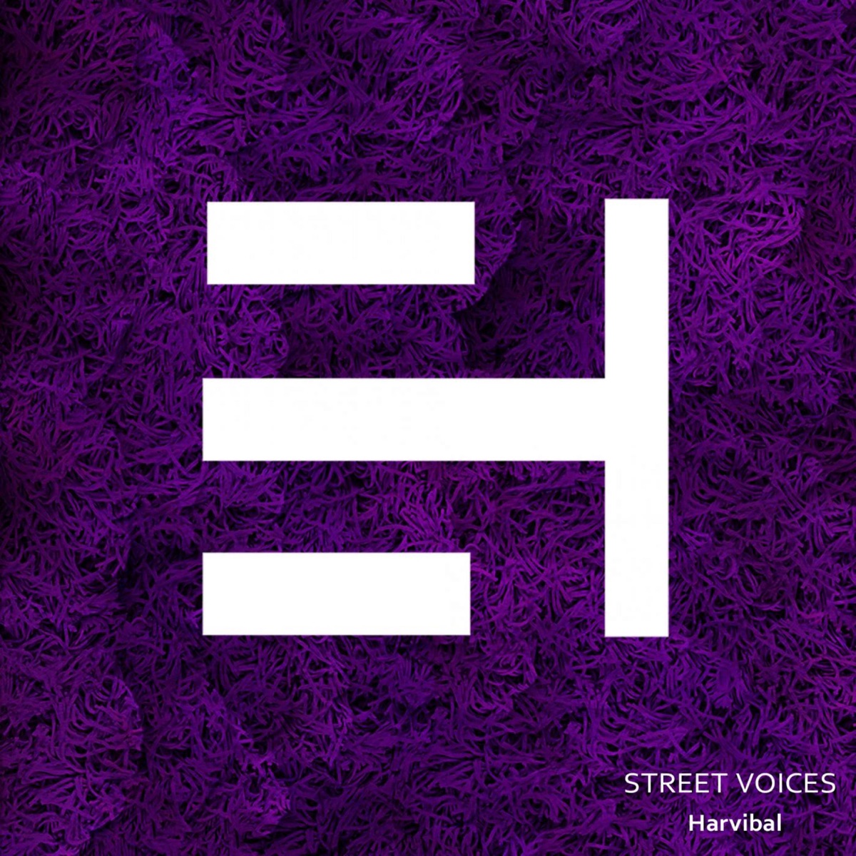 Street Voices - Single by Akeos & Lumc House album cover