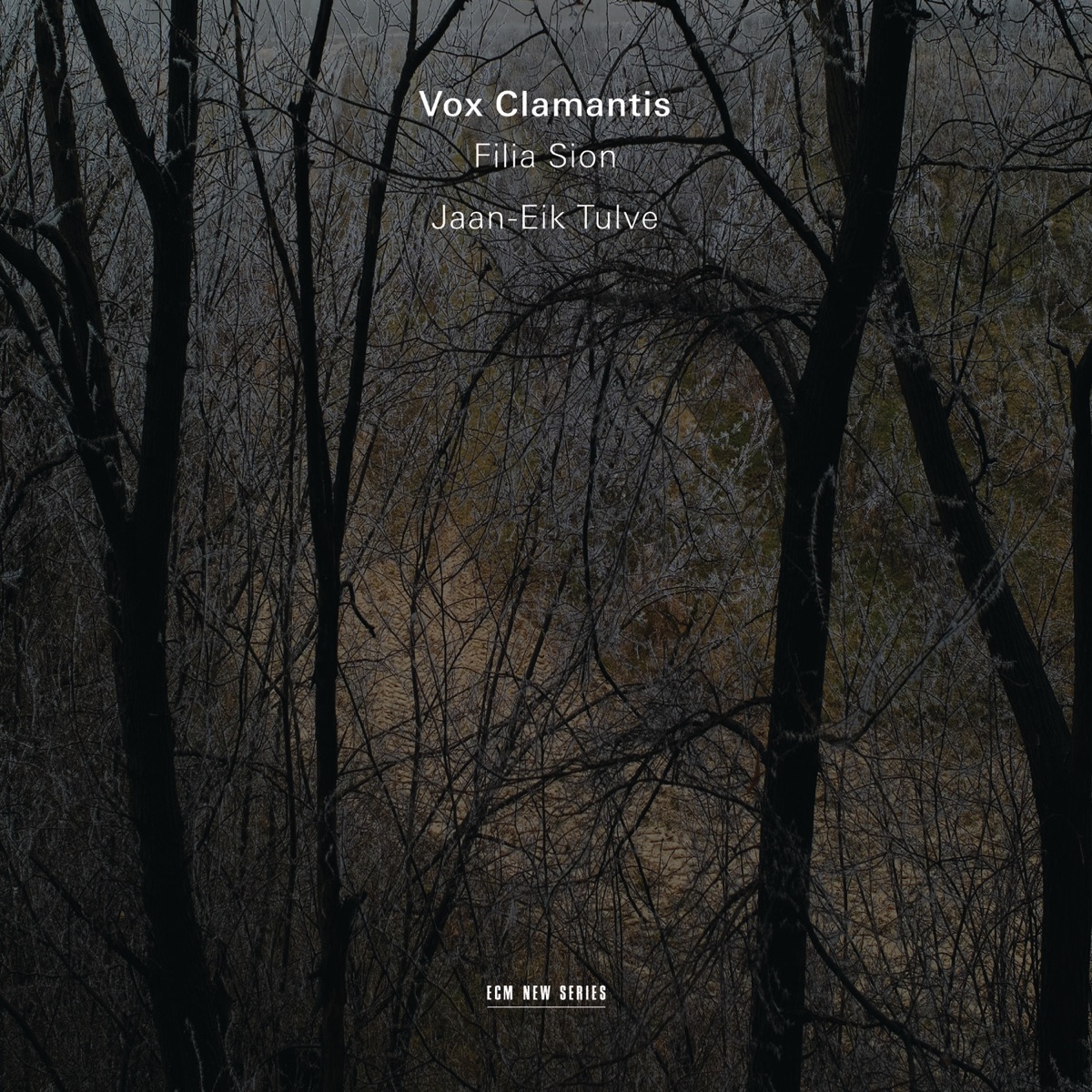 Filia Sion by Vox Clamantis & Jaan-Eik Tulve album cover