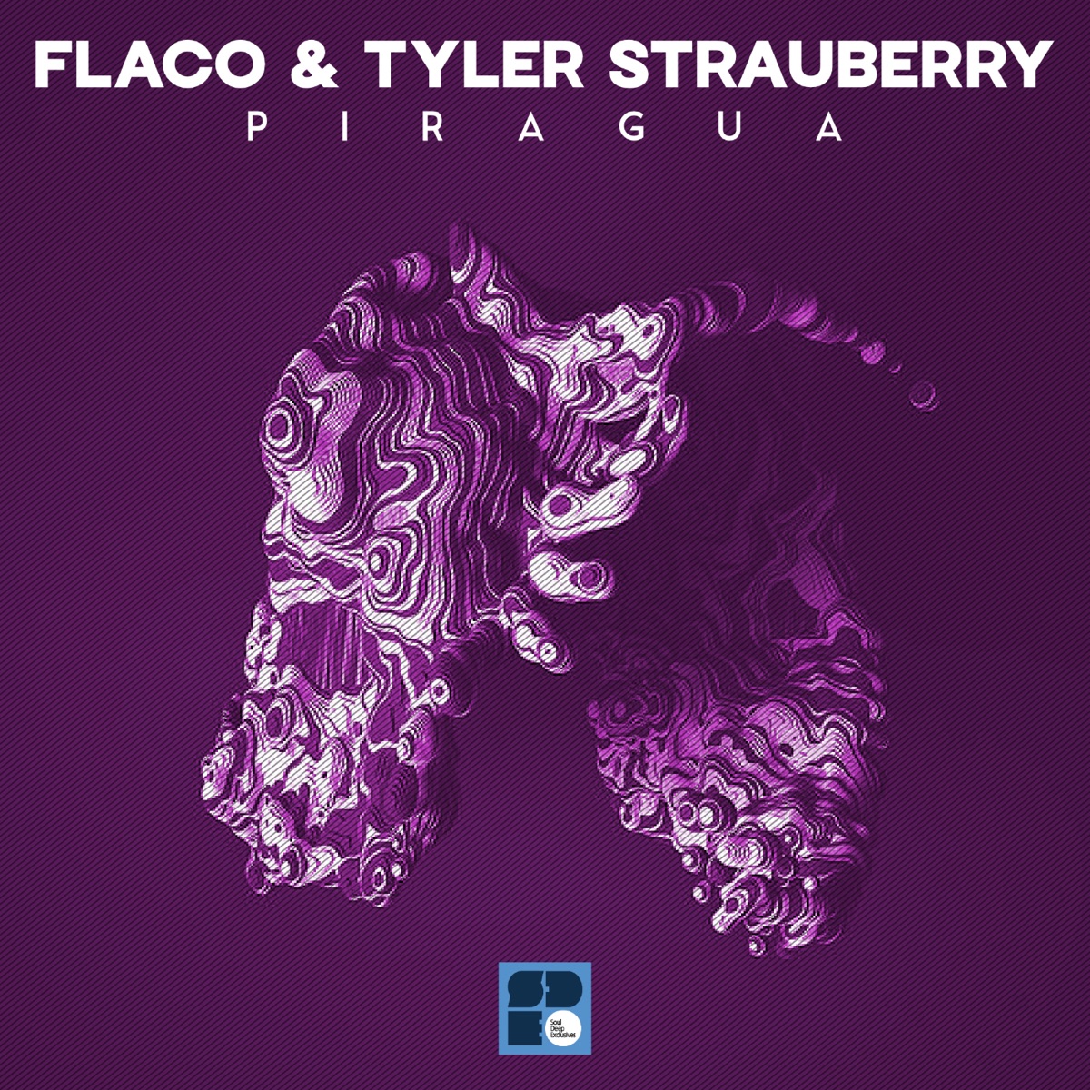 Piragua - Single by Flaco & Tyler Strauberry album cover