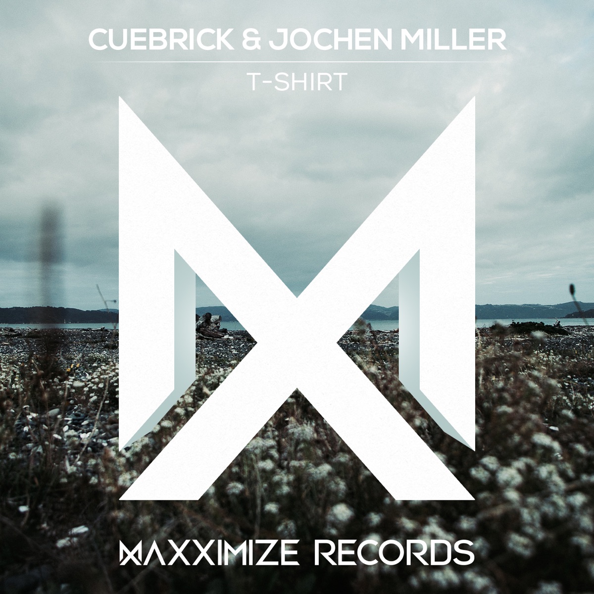 T-Shirt - Single by Cuebrick & Jochen Miller album cover