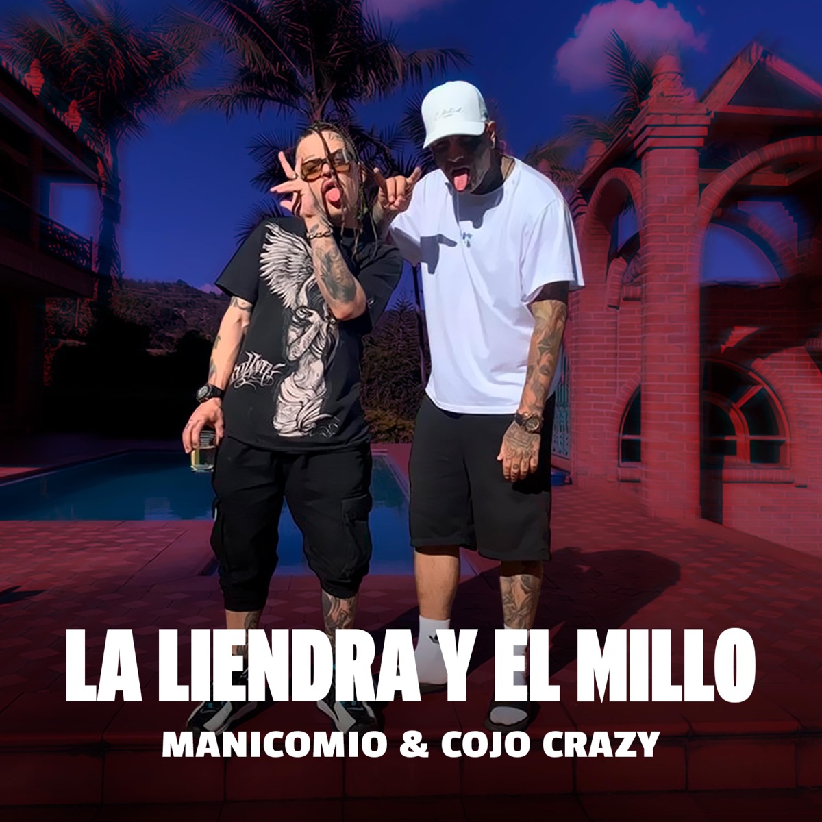 La Liendra y El Millo - Single by Manicomio & Cojo Crazy album cover