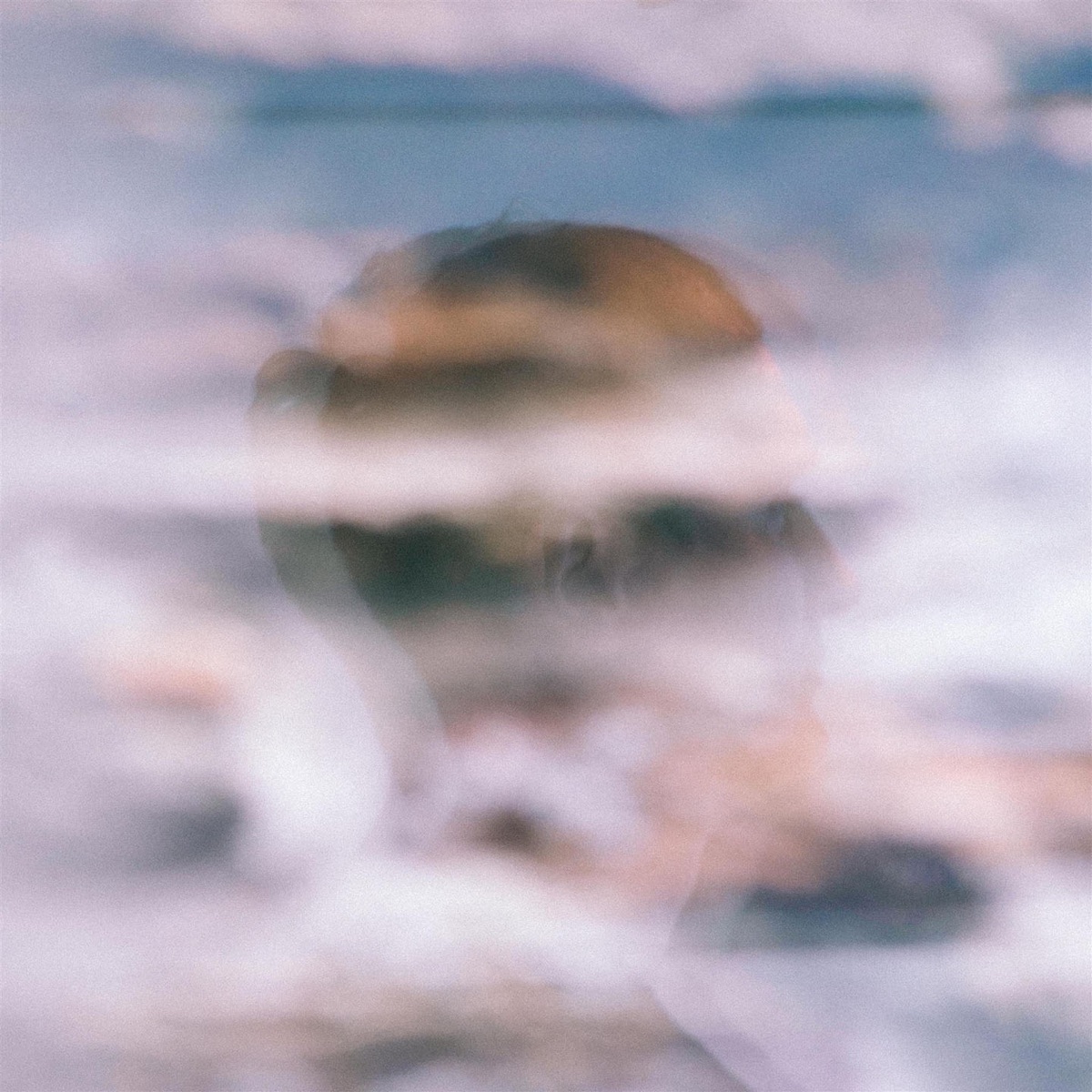 Sule Skerry by Erland Cooper album cover