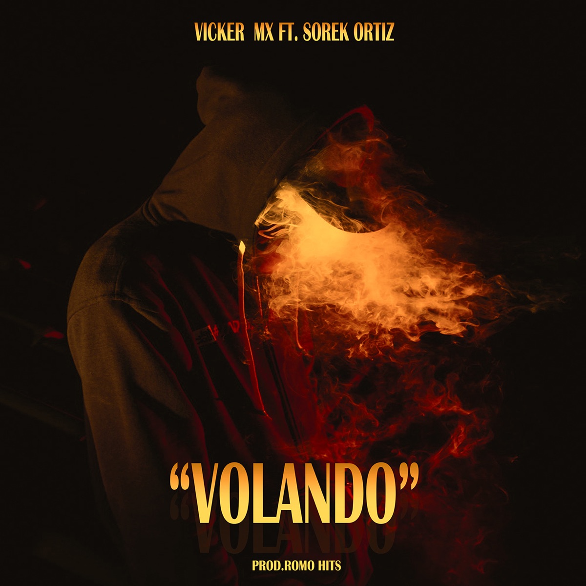Volando (feat. Sorek Ortiz) - Single by Vicker Mx album cover