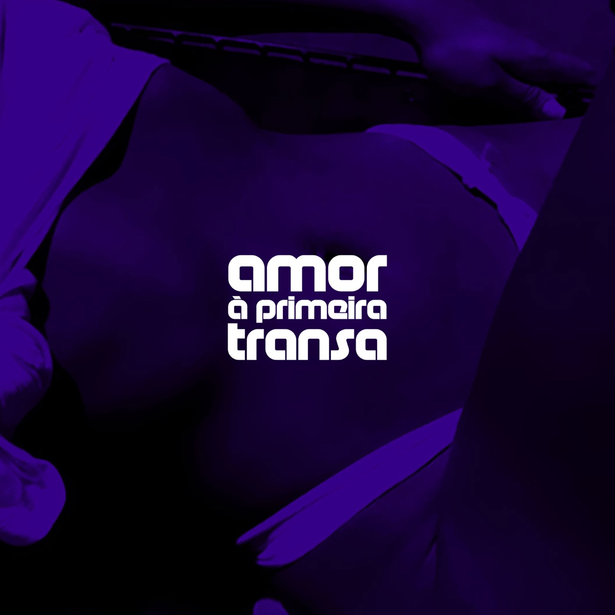 Amor à Primeira Transa (feat. Mc Nego Jô, MC Lipe Costa, DkalphaniZ & Geérri) - Single by Dj GR album cover