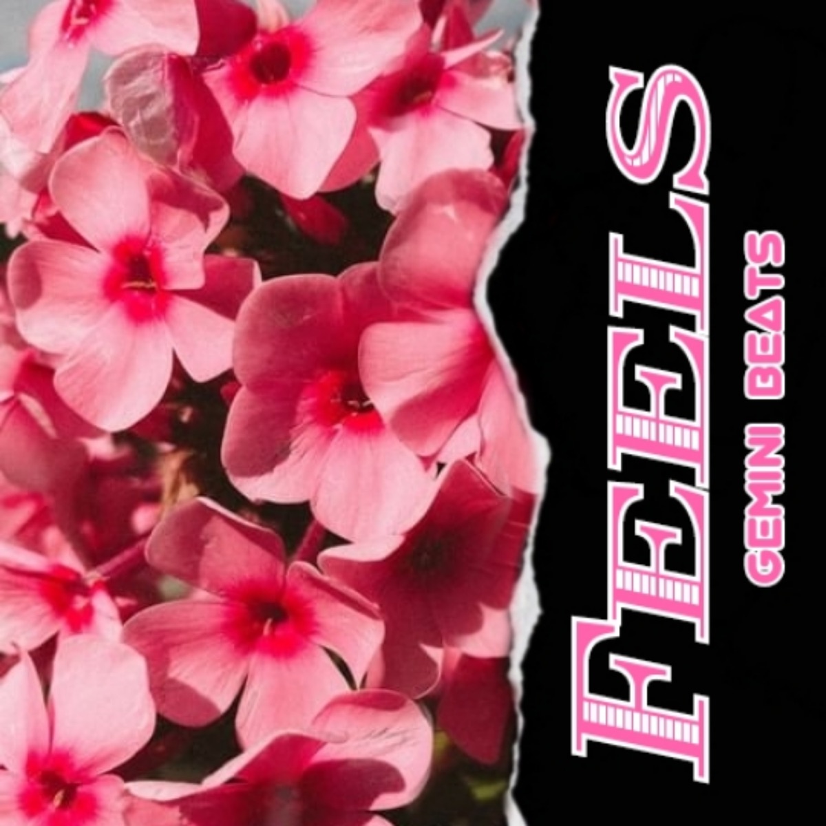 Feels by Gemini Beats album cover