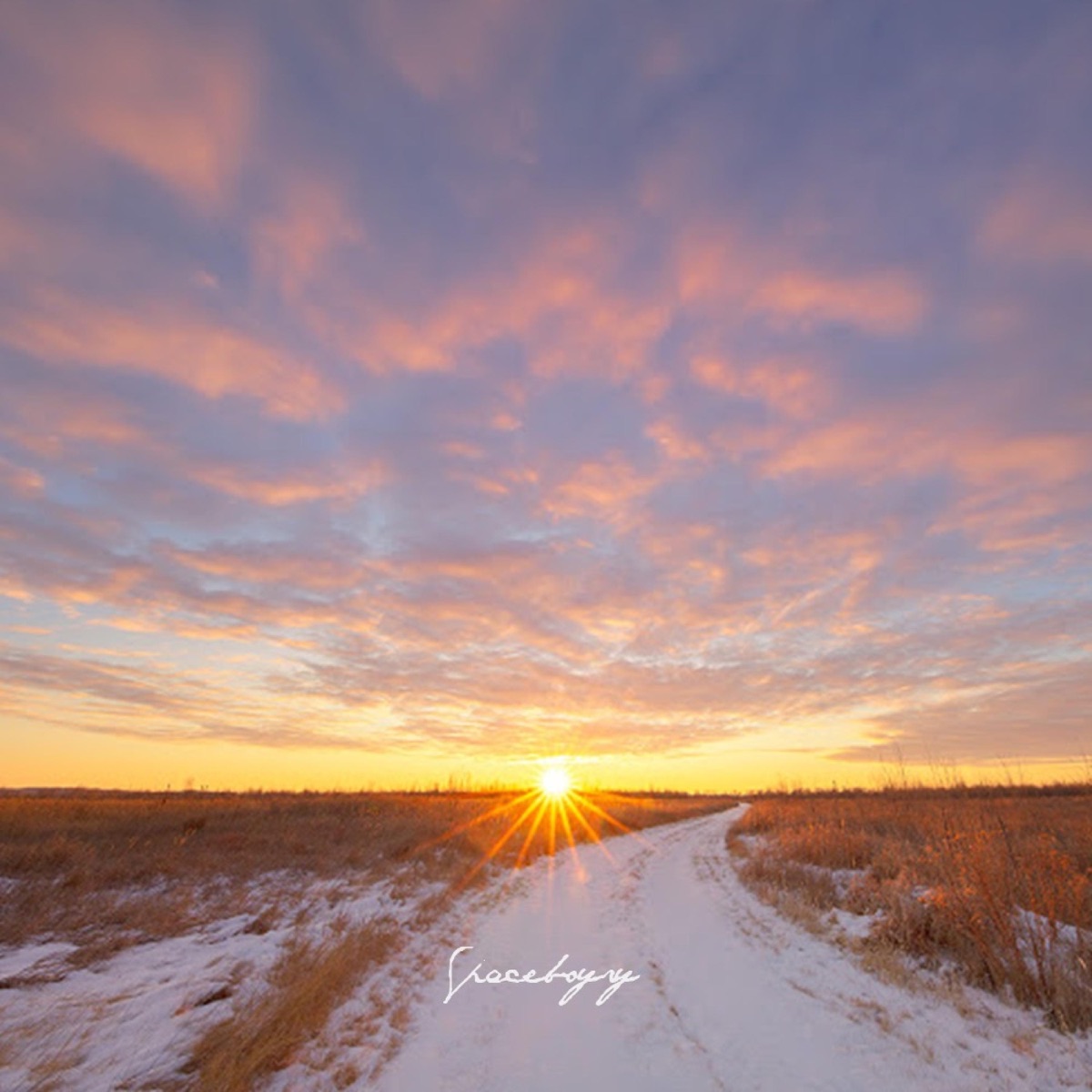 Sun Rise - Single by Spaceboyry album cover