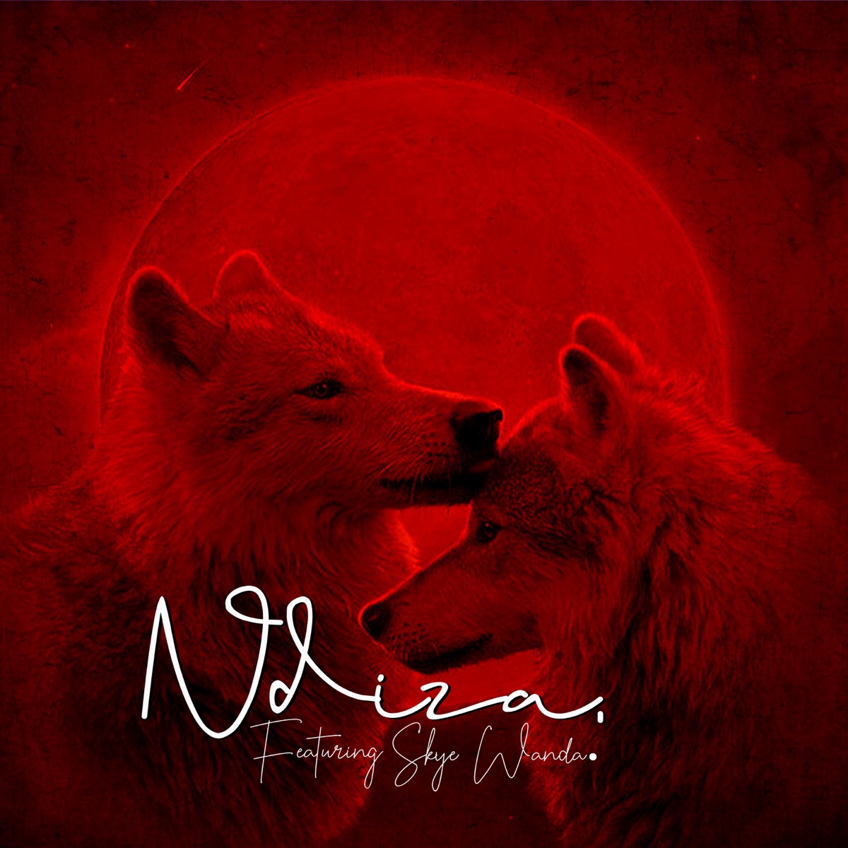 Ndiza. (feat. Skye Wanda) - Single by Blockk album cover