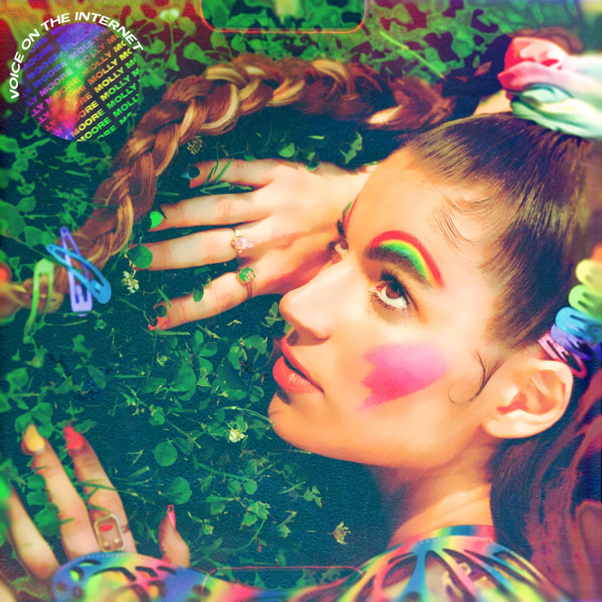 Voice on the Internet by Molly Moore album cover