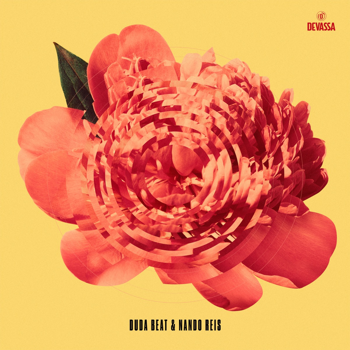 DUDA BEAT & NANDO REIS - EP by Nando Reis & DUDA BEAT album cover