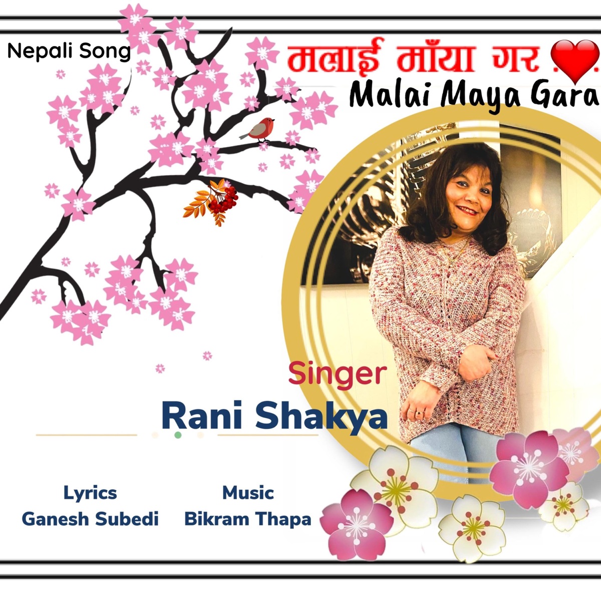 Malai Maya Gara (feat. Bikram Thapa & Ganesh Subedi) - Single by Rani Shakya album cover