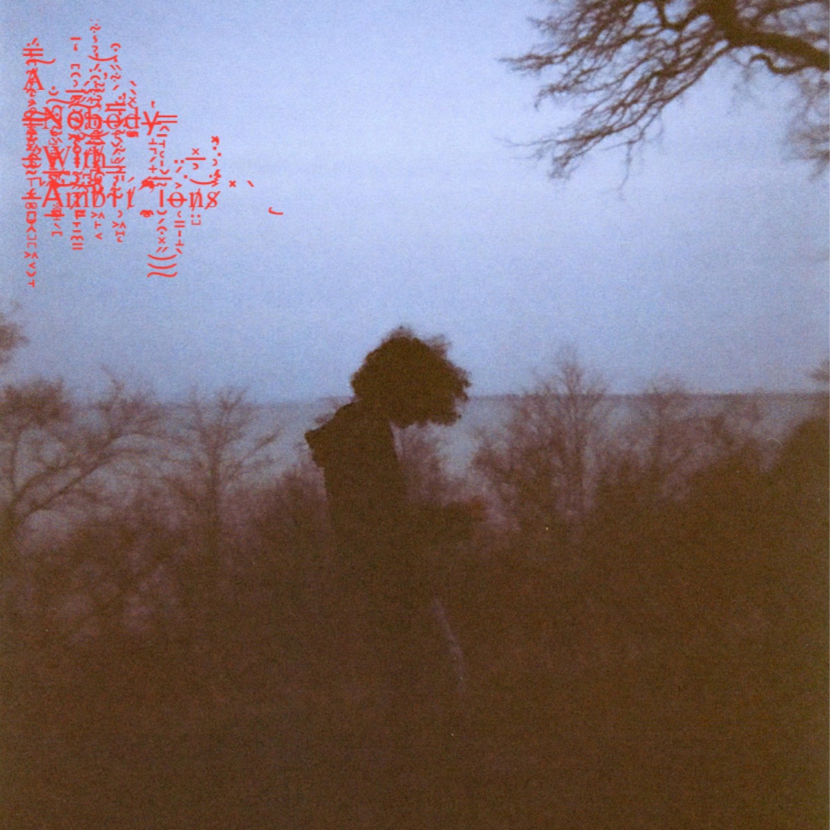 A Nobody With Ambitions by Thatguyeli album cover