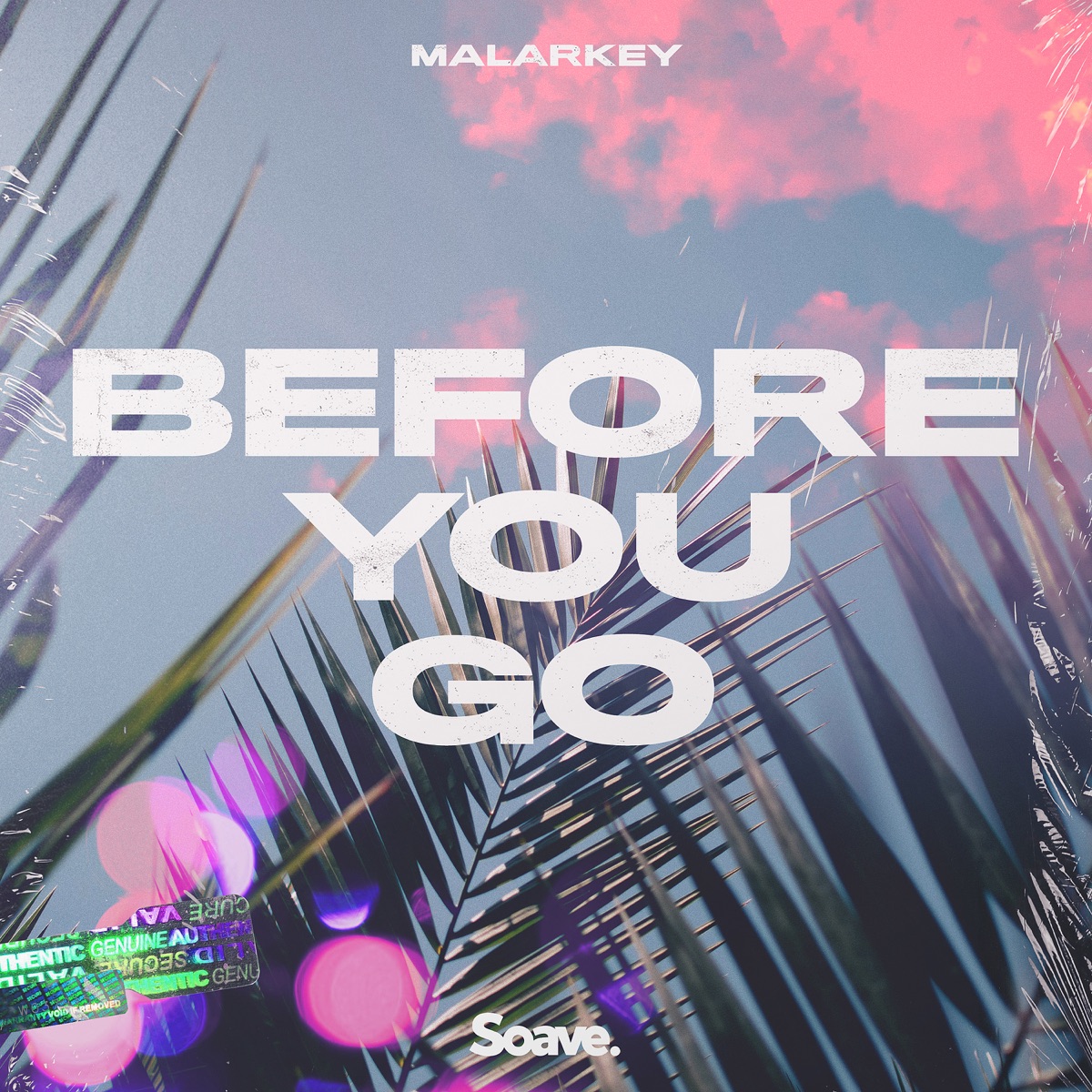 Before You Go - Single by Malarkey album cover