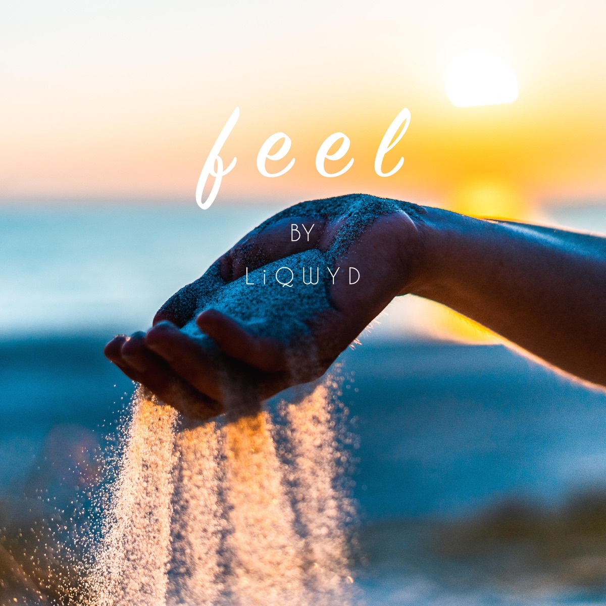 Feel - Single by LiQWYD album cover
