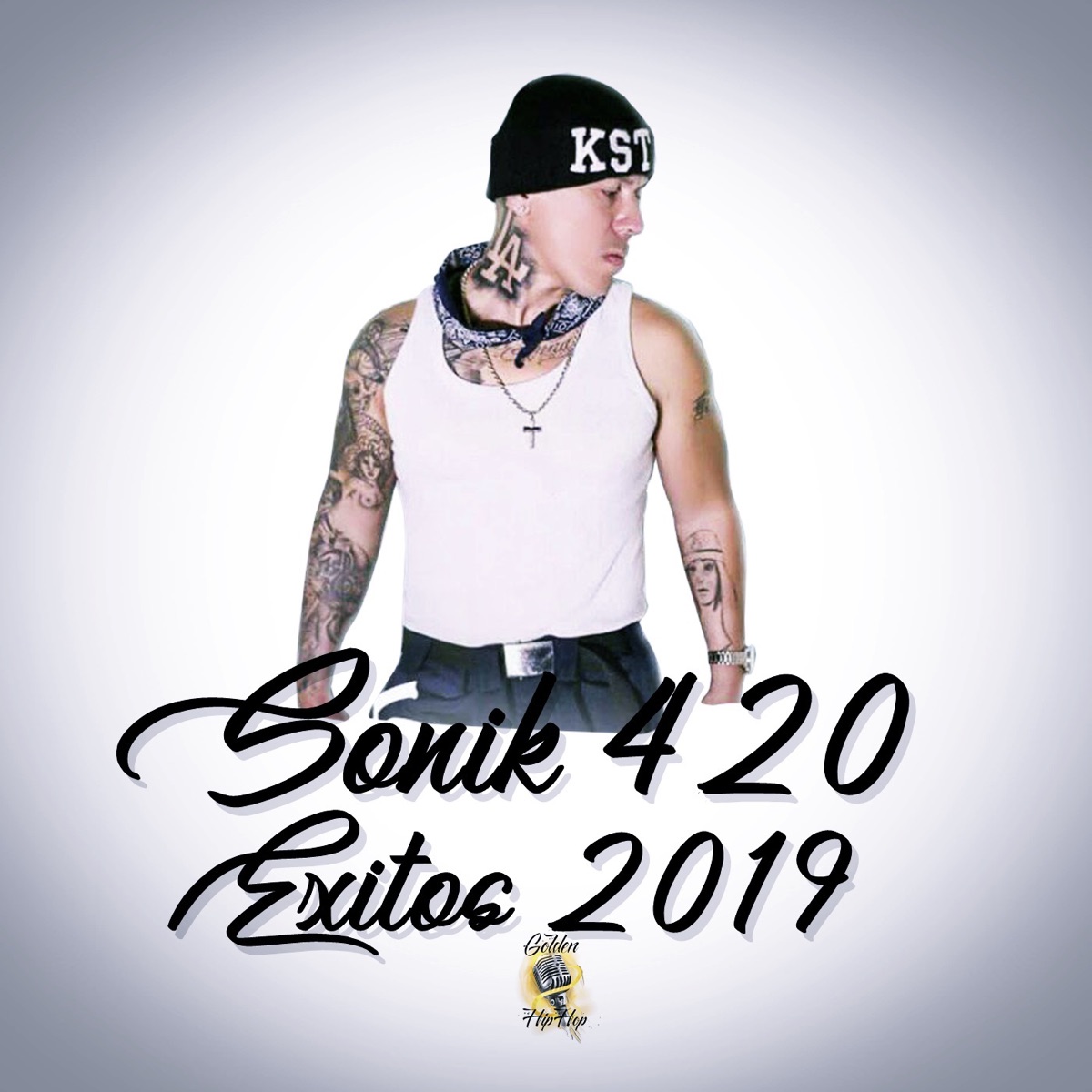 Éxitos 2019 by Sonik 420 album cover