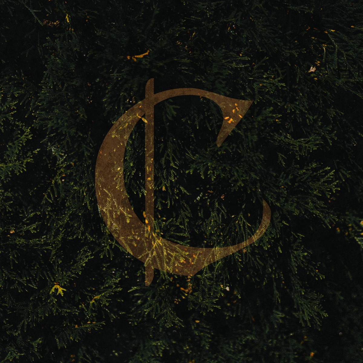 Fireflies - Single by Cygnet album cover