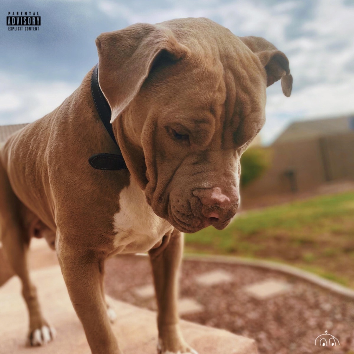 Perro Perdido (feat. 150lated) - Single by Jaseeeen album cover