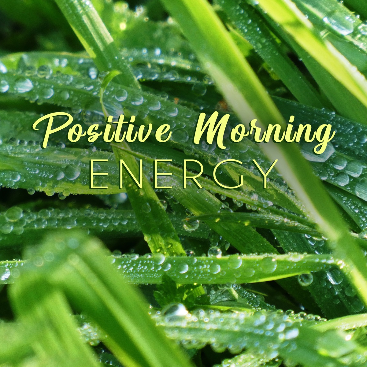 Positive Morning Energy: Wake Up, Monday Motivation, Alarm Sounds, Breakfast & Coffee Time by Zen Meditation Music Academy album cover