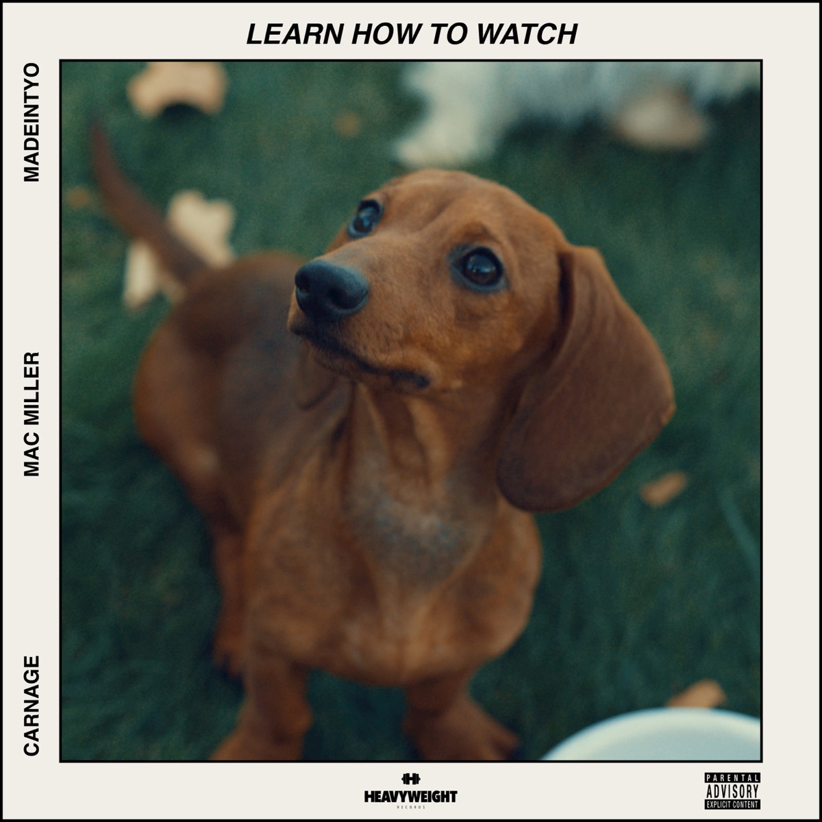 Learn How to Watch (feat. MAC MILLER & MadeinTYO) - Single by Carnage album cover