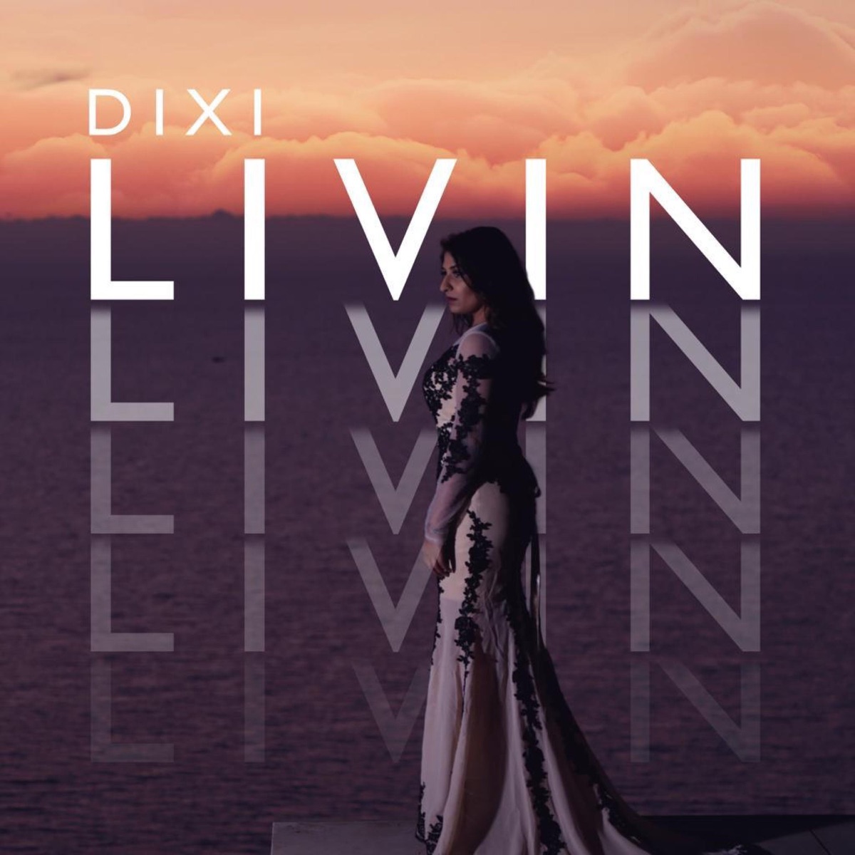 Livin' - Single by Dixi album cover