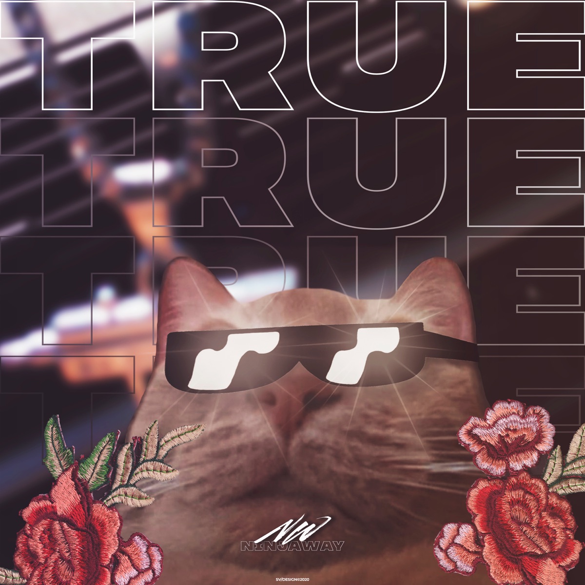 True - Single by NinjaWay album cover