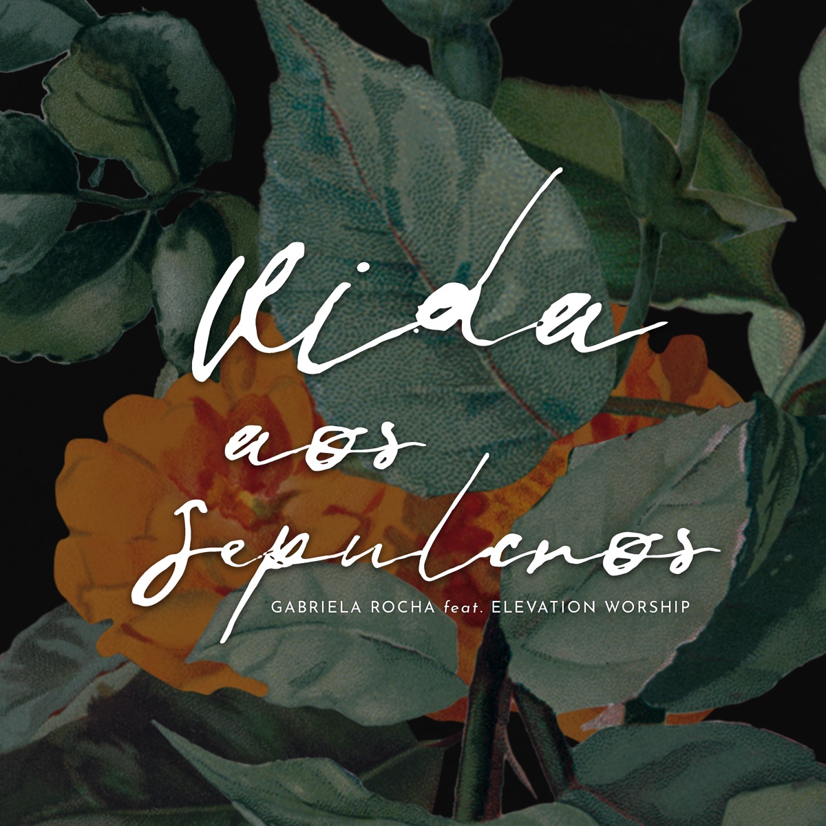Vida aos Sepulcros (feat. Elevation Worship) - Single by Gabriela Rocha album cover artwork