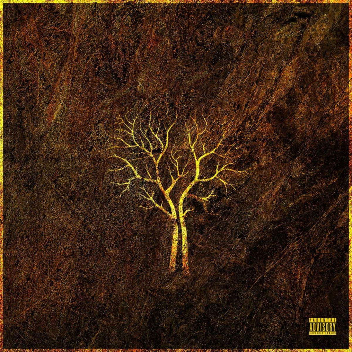 Affirmations (Brave Soul) [feat. Ryan Andrews] - Single by Alley Griff album cover