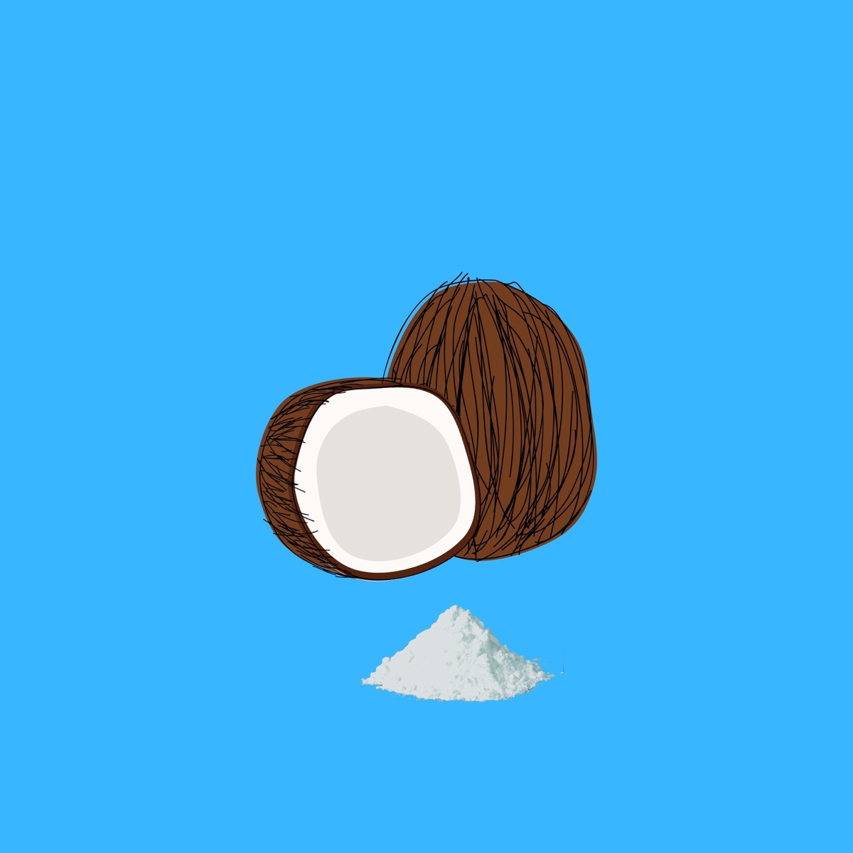 Coconuts - Single by Shaddick album cover
