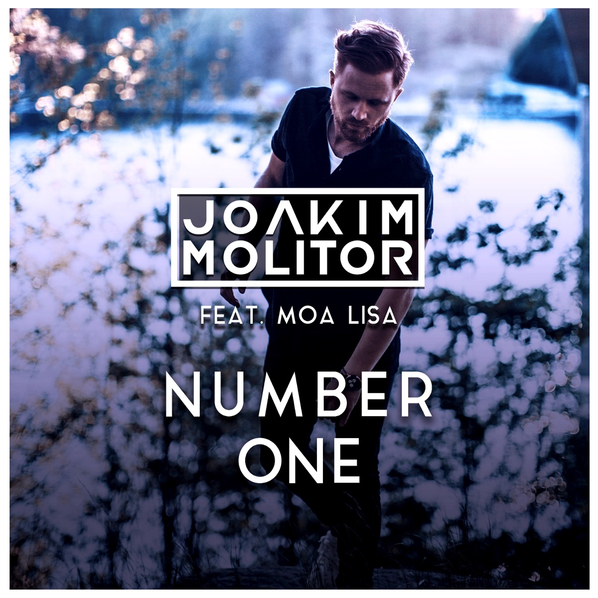Number One (feat. Moa Lisa) - Single by Joakim Molitor album cover