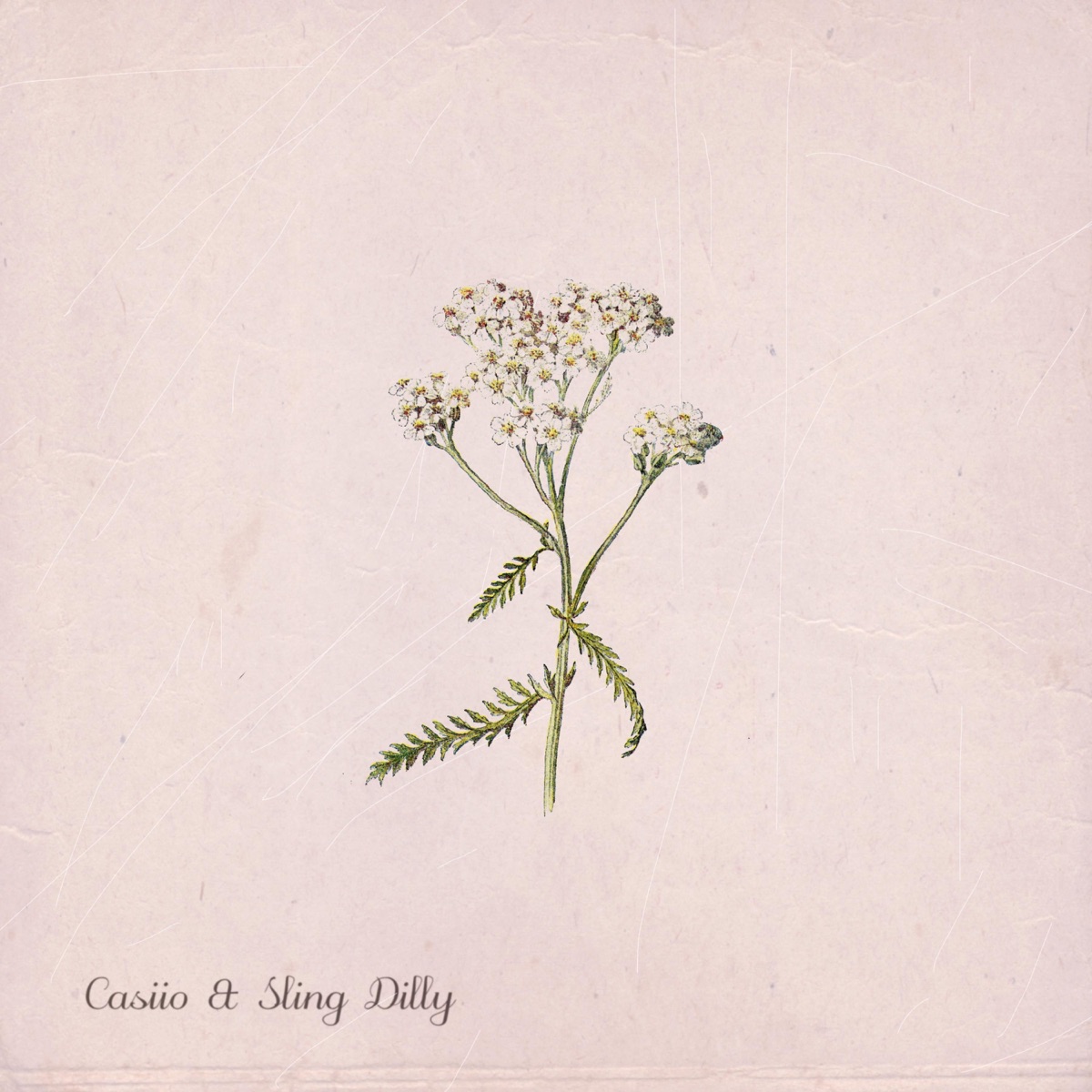 Ol' Chip / JayJay by Casiio & Sling Dilly album cover