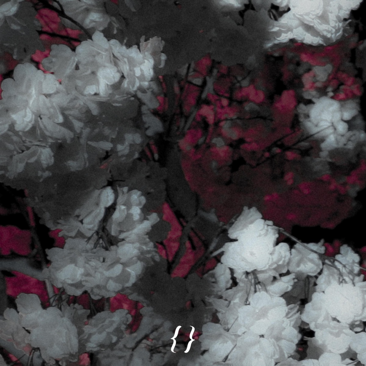 Better When im Next To U - Single by nøll album cover