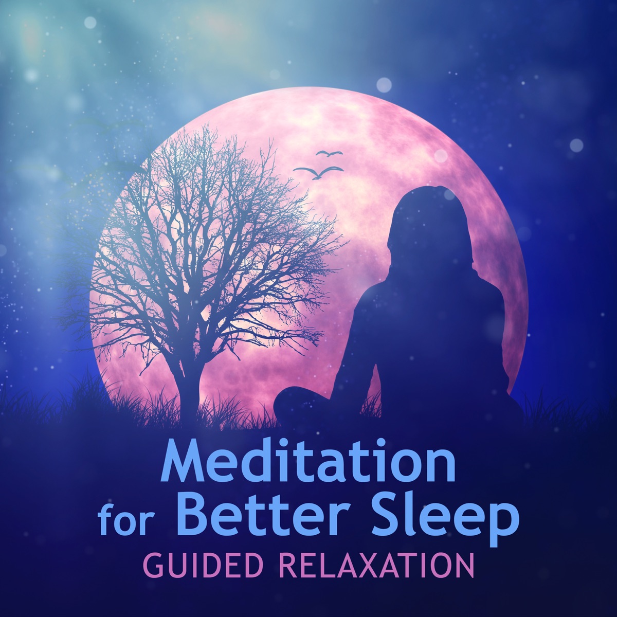 Meditation for Better Sleep: Guided Relaxation – Music for Deep Sleep, Anxiety Free, Calm Mind Effect, Anti Stress Music, White Noise Loops, Ultimate Insomnia Cure by Peaceful Sleep Music Collection album cover