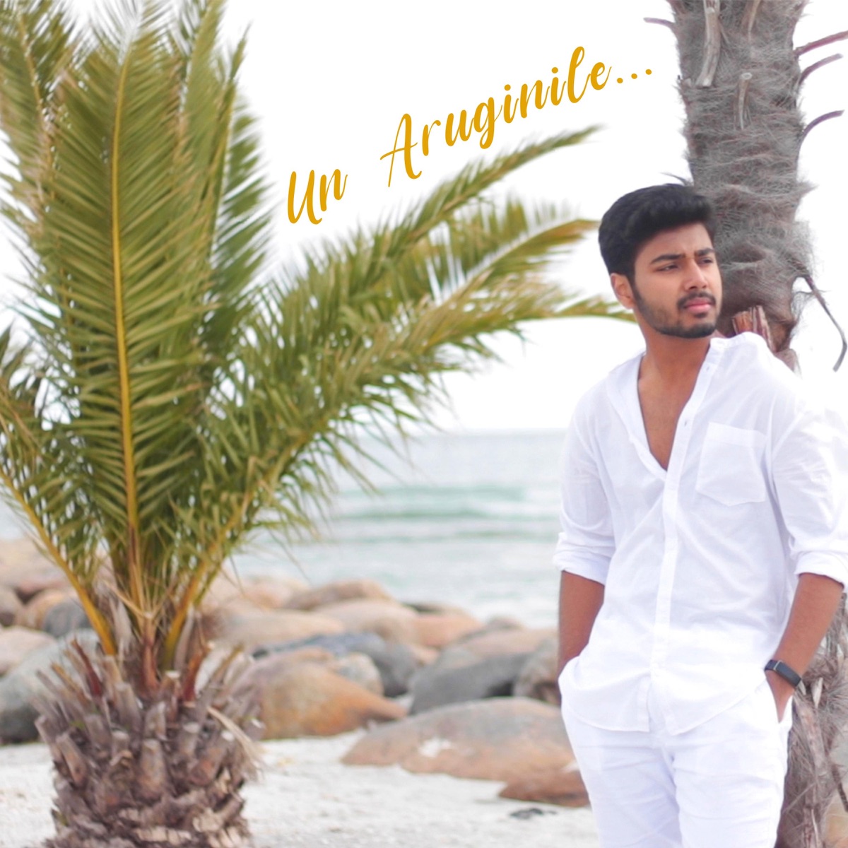 Un Aruginile - Single by Ajay Illango album cover